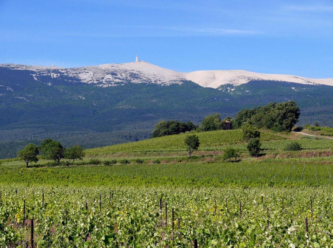 Petit Gite De Provence Mazan Exterior foto
